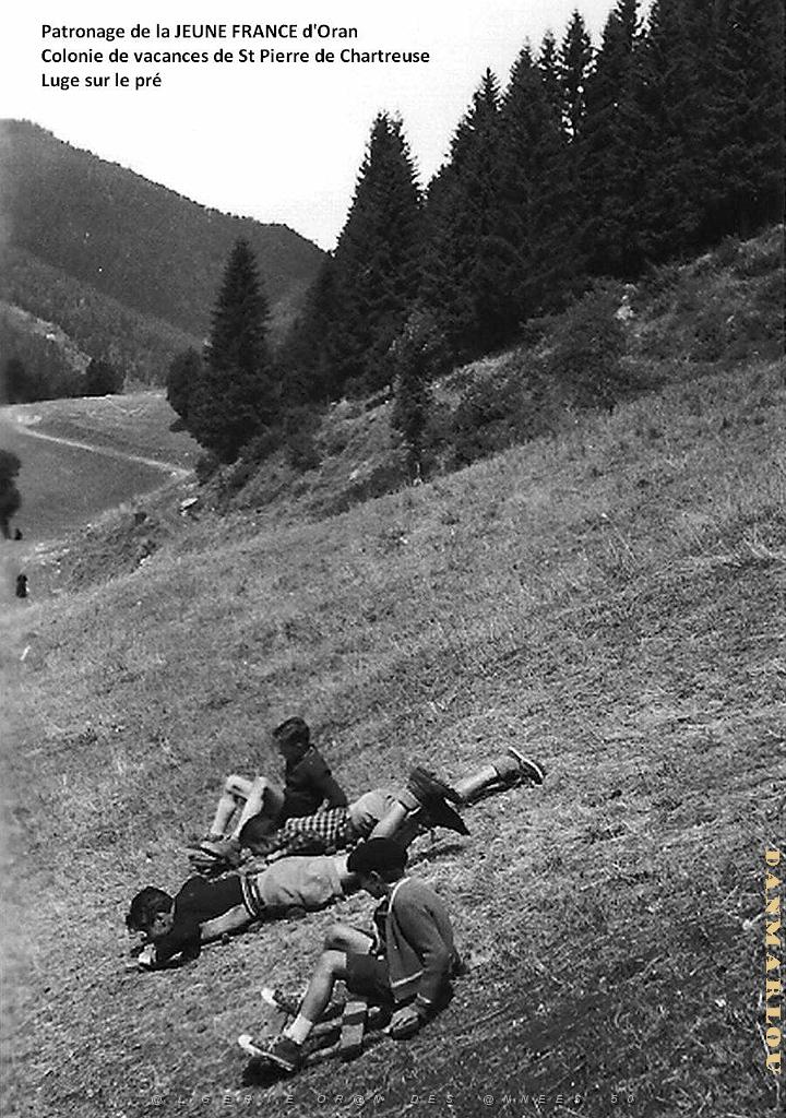 COLO JEUNE FRANCE Luge sur le pre.jpg
